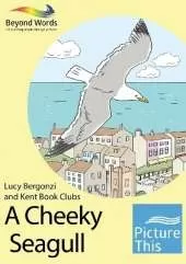 A Cheeky Seagull