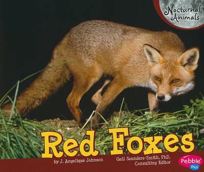 Red Foxes
