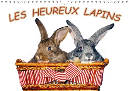 Les Heureux Lapins 2018: Des Lapins Devant L'appareil Photo. Nous Les Lapins, Nous Aimons Etre Pris En Photo.