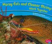 Moray Eels and Cleaner Shrimp Work Together