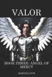 VALOR Book Three: Angel of Mercy