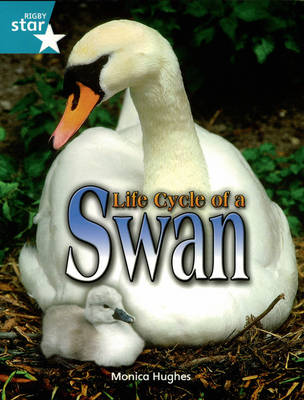 Rigby Star Independent Year2/P3 Turquoise Level: The Life of Swans