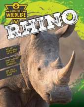 Rhino