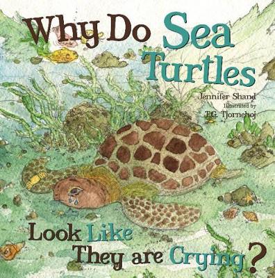 Why Do Sea Turtles Look Like They are Crying?