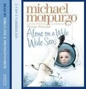 Alone on a Wide Wide Sea