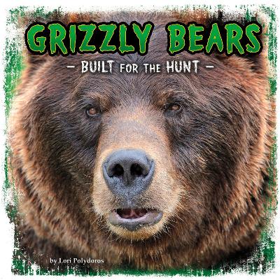 Grizzly Bears: Built for the Hunt