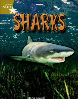 Rigby Star Indep Gold Shark Reader Pack