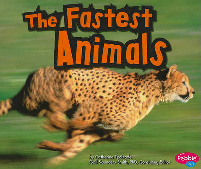 The Fastest Animals