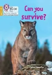 Can you survive?: Phase 5 Set 4