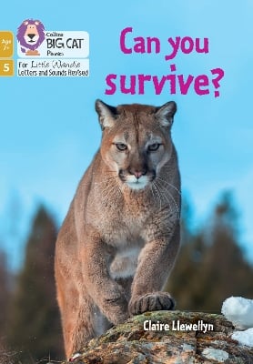 Can you survive?: Phase 5 Set 4