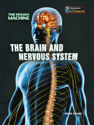 The Brain and Nervous System