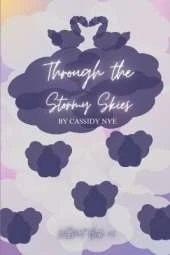 Through the Stormy Skies: USMT Book 2