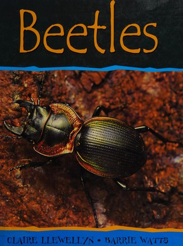 Beetles