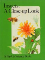 Insects: A Close-up Look