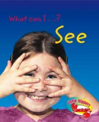 What Can I See?