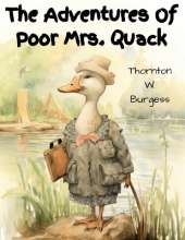 The Adventures Of Poor Mrs. Quack