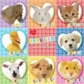 Beauties and Cuties