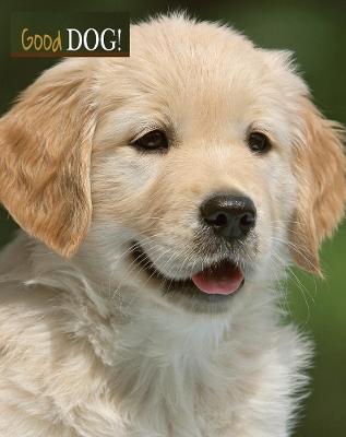 Good Dog!