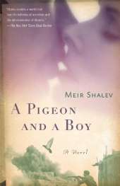 A Pigeon and a Boy: A Novel