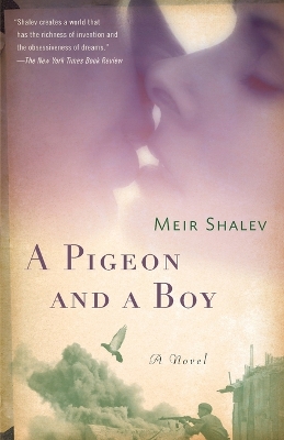 A Pigeon and a Boy: A Novel