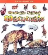 Animals Called Mammals