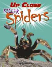 Up Close: Killer Spiders