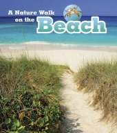 A Nature Walk on the Beach