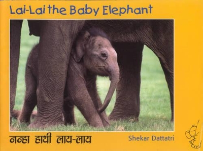 Lai Lai the Baby Elephant