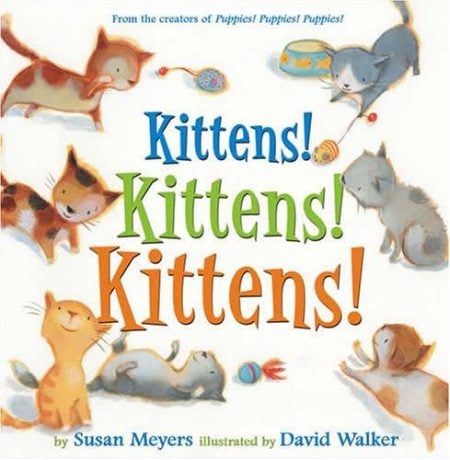 Kittens! Kittens! Kittens!