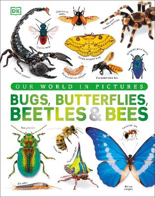 Bugs, Butterflies, Beetles and Bees: A Visual Bug and Insect Encyclopedia for Kids