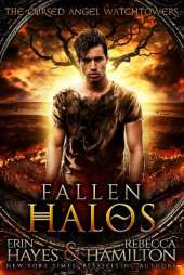 Fallen Halos: A Dystopian Paranormal Romance Novel