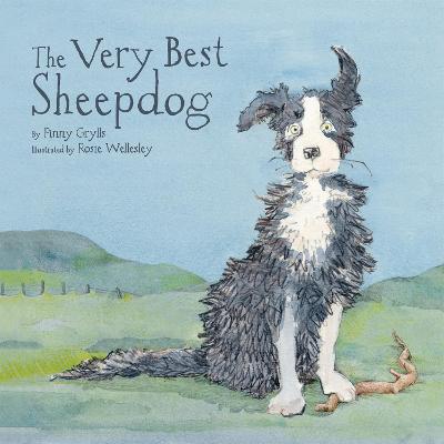 The Very Best Sheepdog