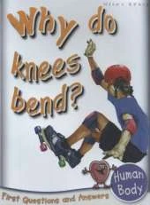 Human Body: Why Do Knees Bend?