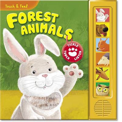 Forest Animals