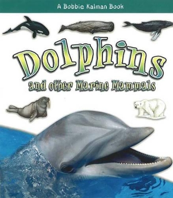 Dolphins and other Marine Mammals