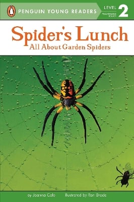 Spider's Lunch: All About Garden Spiders