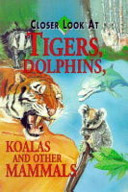 Tigers, Dolphins, Ko