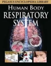 Respiratory System