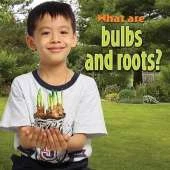 What are bulbs and roots?