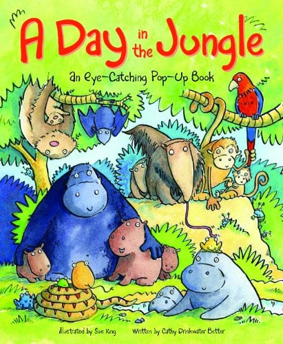 Day in the Jungle: An Eye Catching Pop Up Book