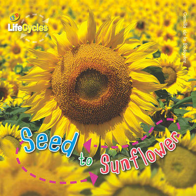 Lifecycles: Seed to Sunflower