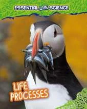 Life Processes