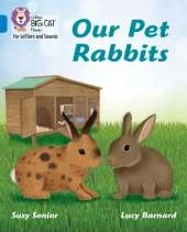 Our Pet Rabbits: Band 04/Blue