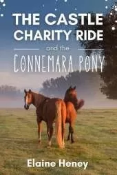 The Castle Charity Ride and the Connemara Pony - The Coral Cove Horses Series