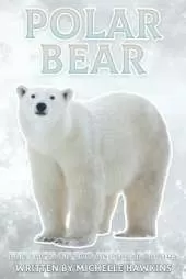Polar Bear: Fun Facts on Zoo Animals for Kids #42