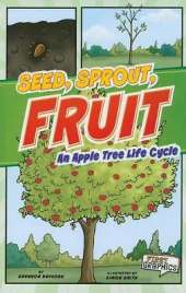 First Graphics Nature Cycles Seed, Sprout, Fruit an Apple Tree Life Cycle