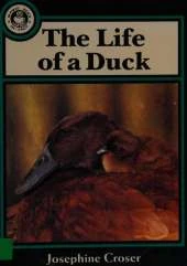 Literacy Magic Bean In Fact, The Life of a Duck Big Book (single)
