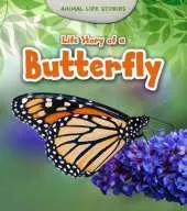 Life Story of a Butterfly