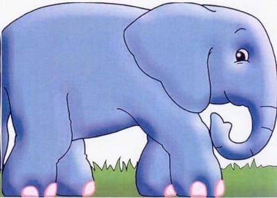 Elephant: Chunky Animals