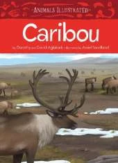 Animals Illustrated: Caribou